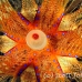 urchin_fire_kbrtk3_h_0060_sul1676.jpg